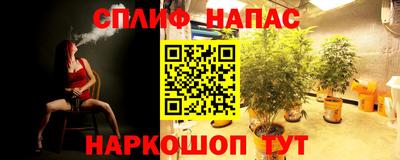 ГАЛЛЮЦИНОГЕННЫЕ ГРИБЫ Вязьма