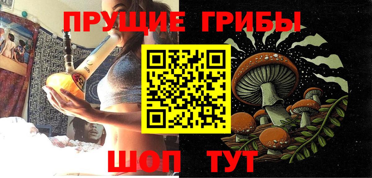 Псилоцибиновые грибы ЛСД  Вход с VPN  Бердск 