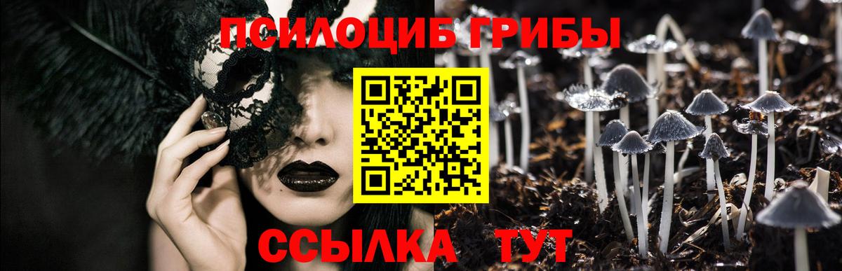 Псилоцибиновые грибы мицелий Бердск